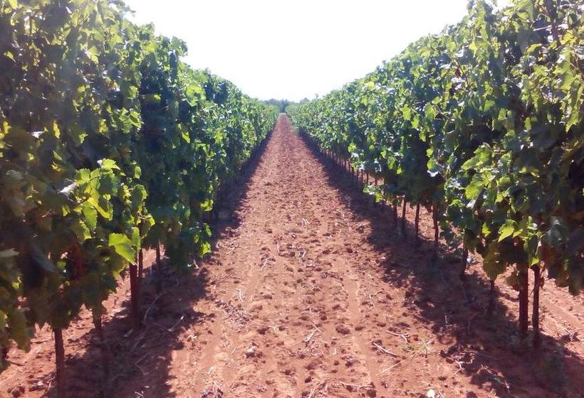 Bed and Breakfast Bed&Breakfast Korta Gira 2