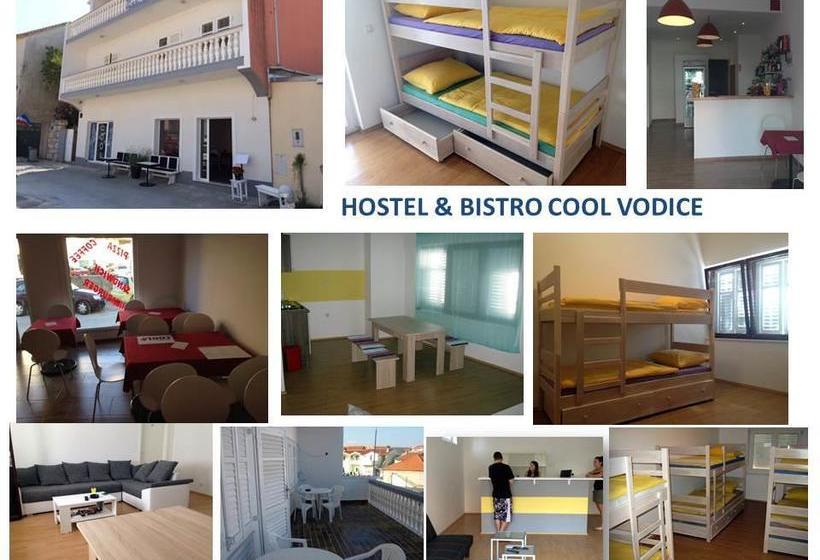 Hostel Cool