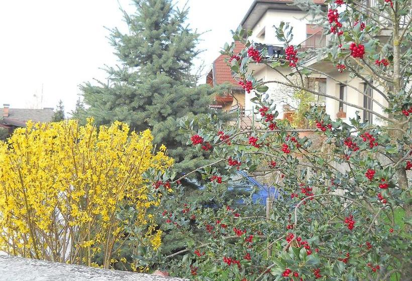 Pensión Apartment & Rooms Miboti 15