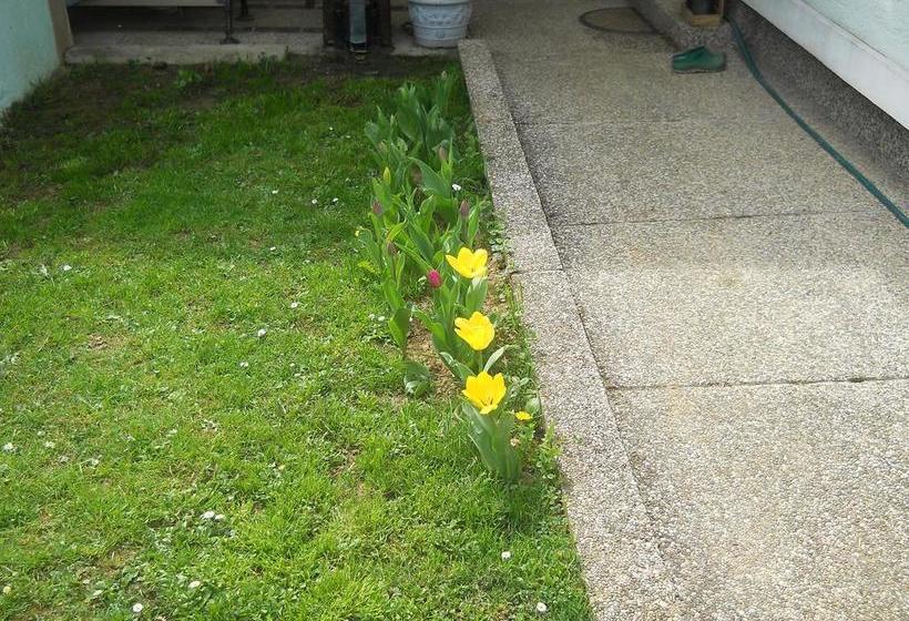 Pensión Apartment & Rooms Miboti 17