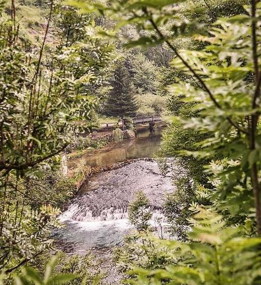 Bed and Breakfast Restaurant & Rooms Feniks 12