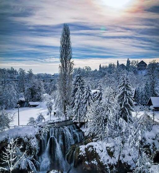 Bed and Breakfast Restaurant & Rooms Feniks 6