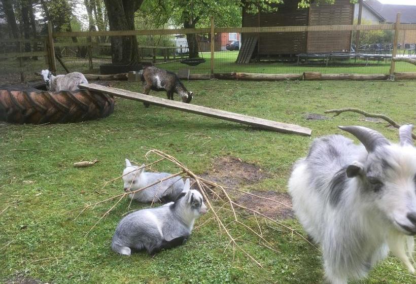 Hotel Hestkær Family Rooms 10