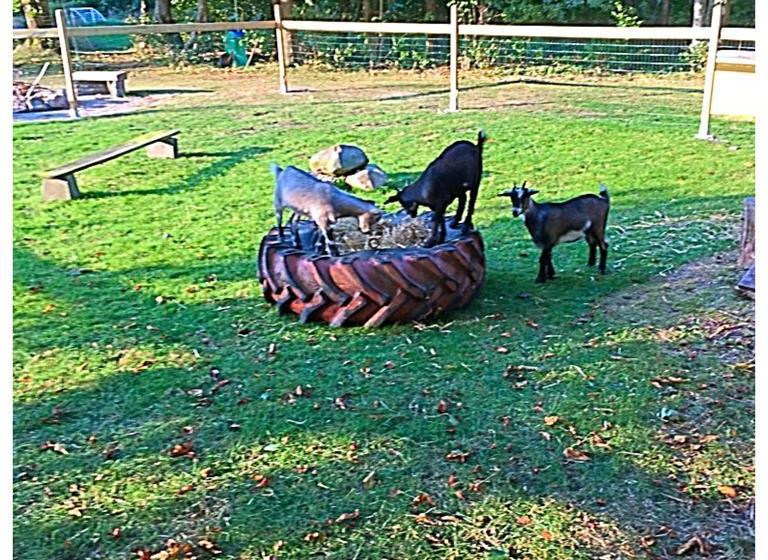 Hotel Hestkær Family Rooms 19