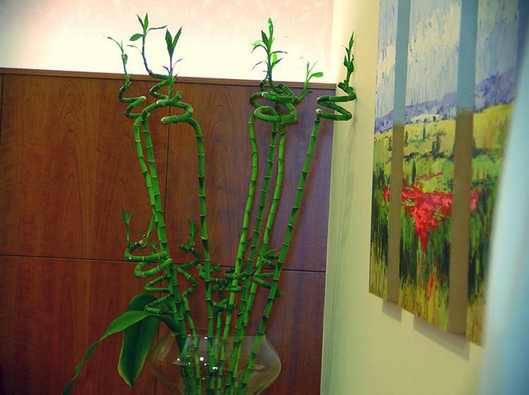 Hotel Portonovo  | Portonovo | Pontevedra | Spain 6