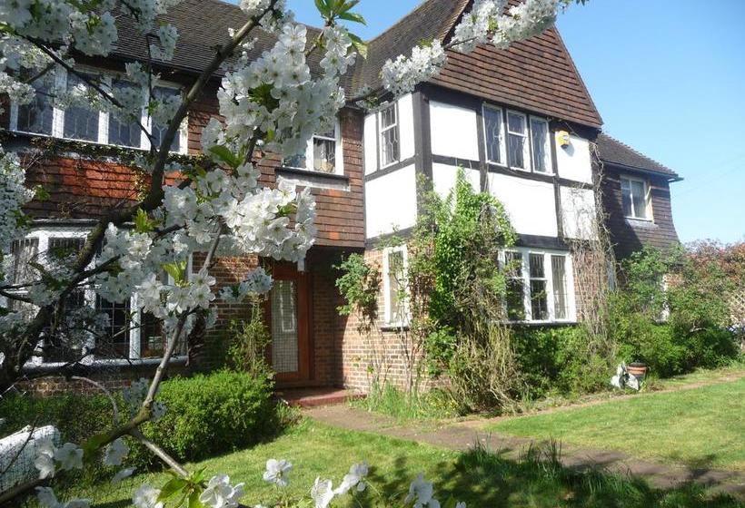 Forest Lodge Bed And Breakfast