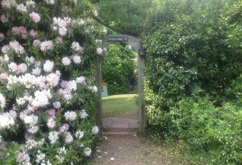 Forest Lodge Bed And Breakfast 3