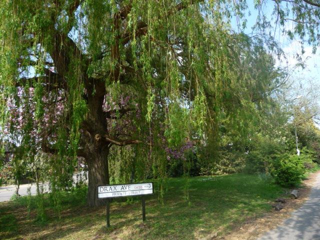 Forest Lodge Bed And Breakfast 6