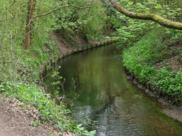Forest Lodge Bed And Breakfast 7