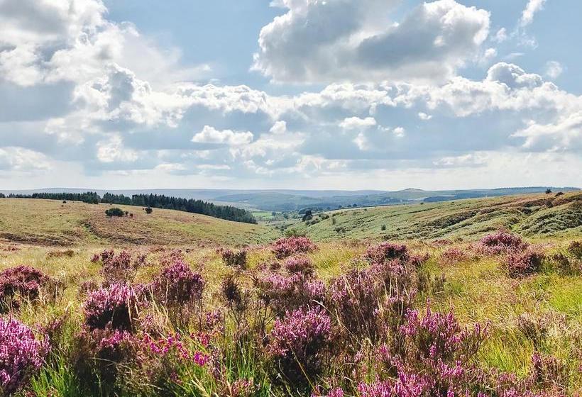 Hotel Weeke Barton 16