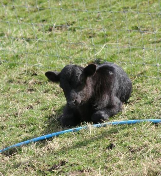 Bed and Breakfast Breaks Fold Farm The Old Peat House 14