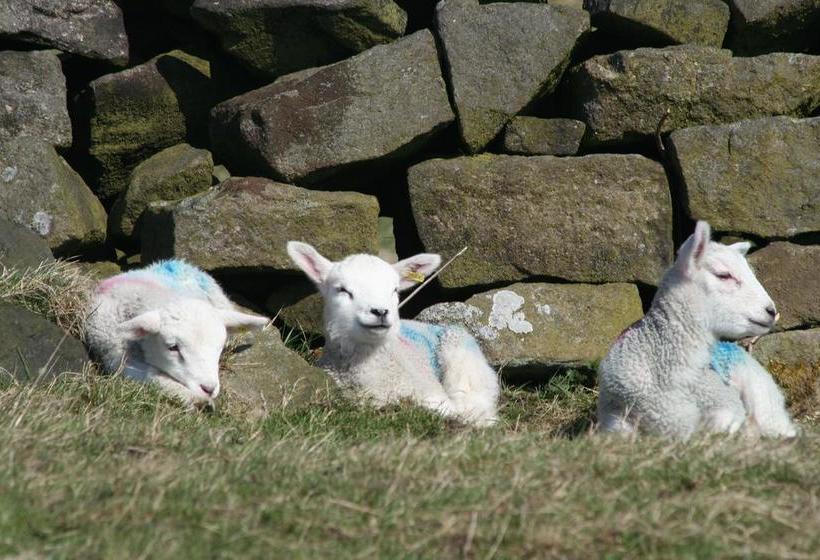 Bed and Breakfast Breaks Fold Farm The Old Peat House 8