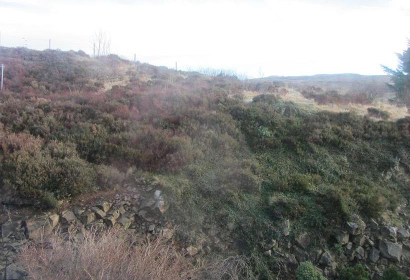 Seafar Bed & Breakfast 15