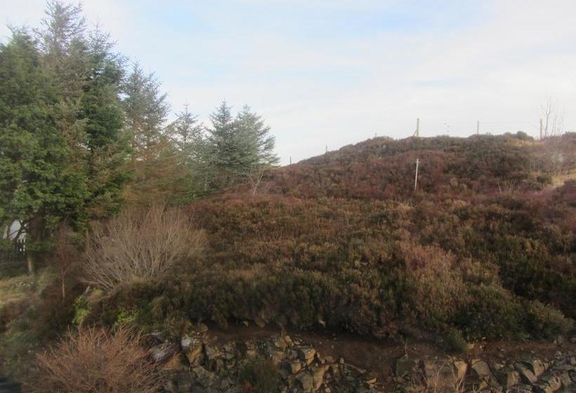 Seafar Bed & Breakfast 17