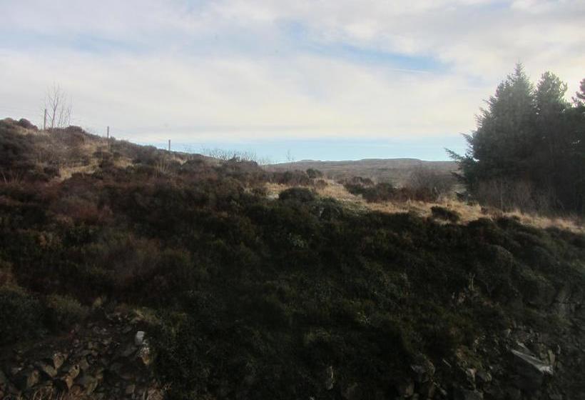 Seafar Bed & Breakfast 19