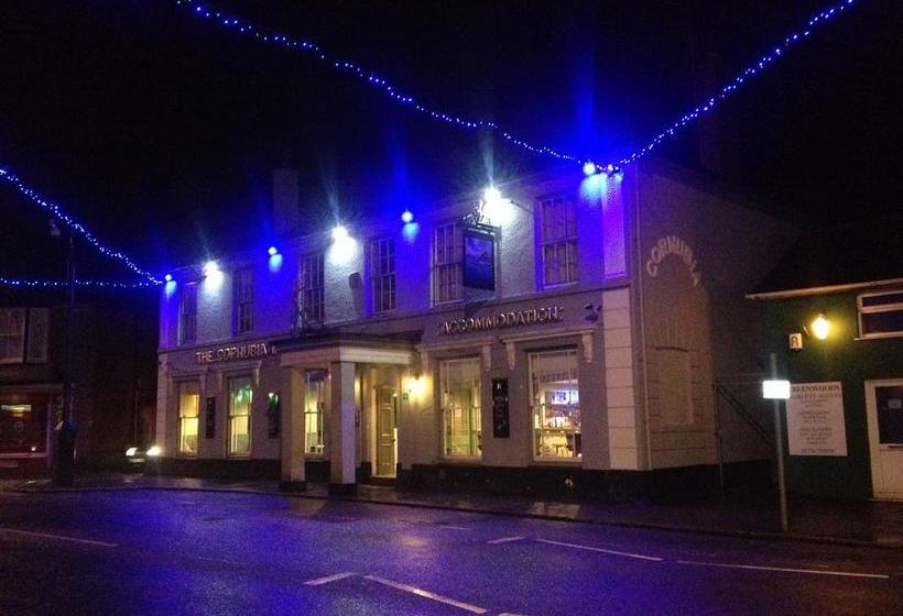 Hotel The Cornubia Inn 12