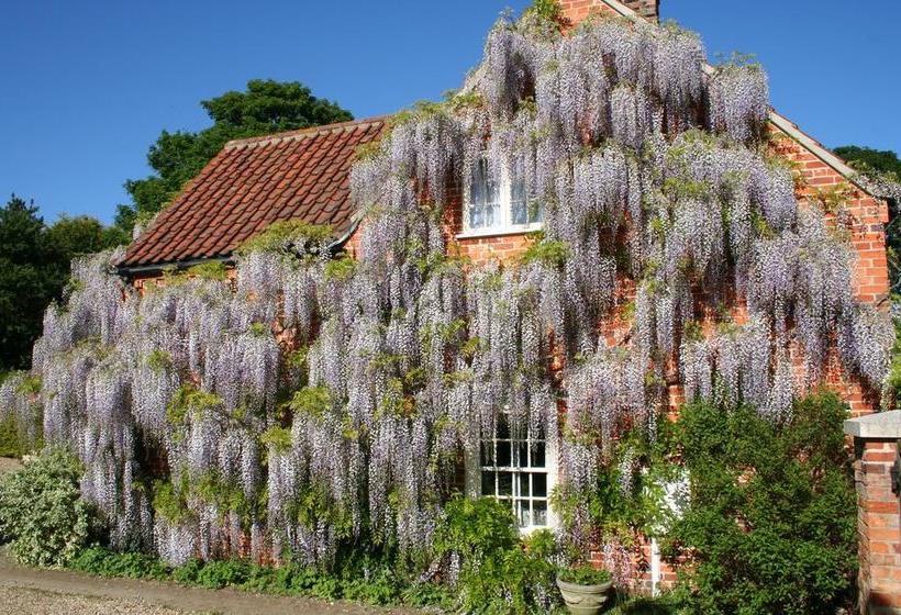 Barn Gallery Bed And Breakfast 2