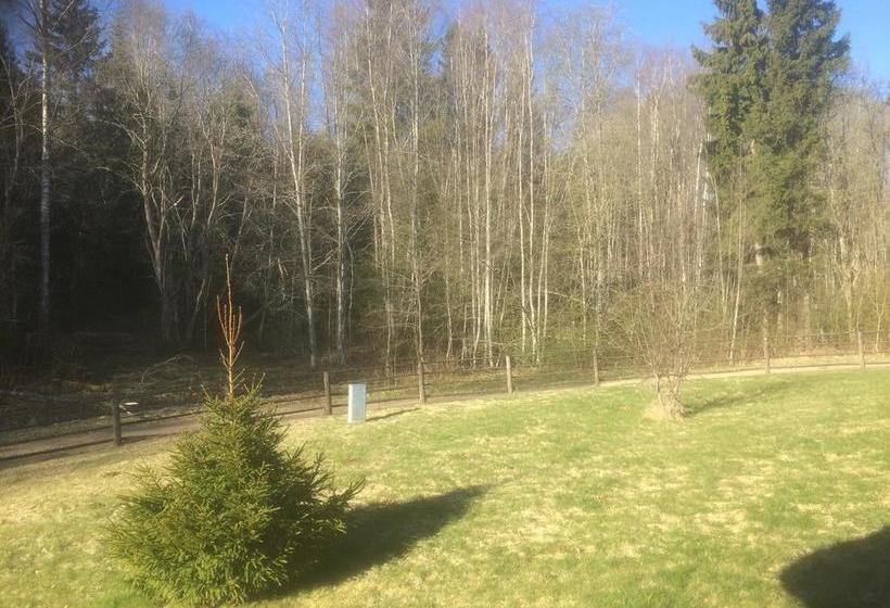 Hôtel Aasa Puhkemaja 14