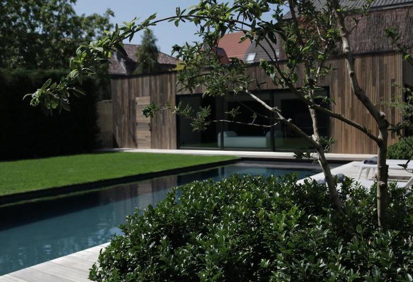 B&b For 2wellness For 2