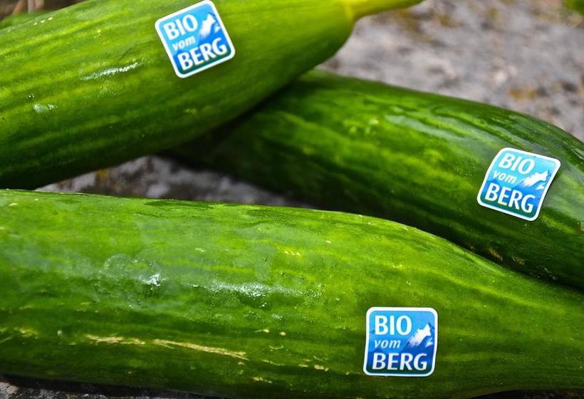 Bed and Breakfast Christl S Hof 19