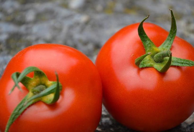 Bed and Breakfast Christl S Hof 20