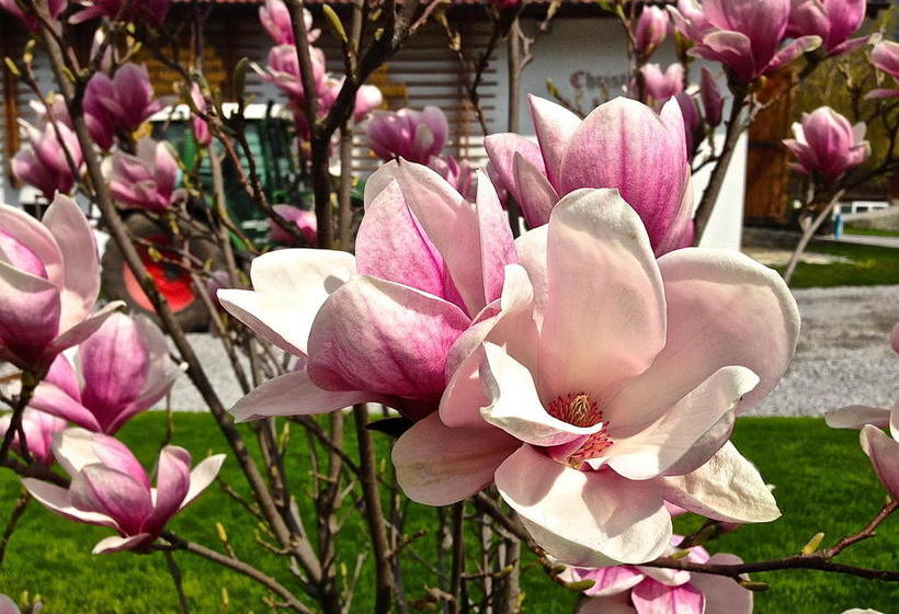 Bed and Breakfast Christl S Hof 5