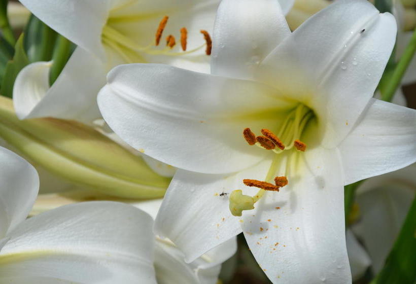 Bed and Breakfast Christl S Hof 7