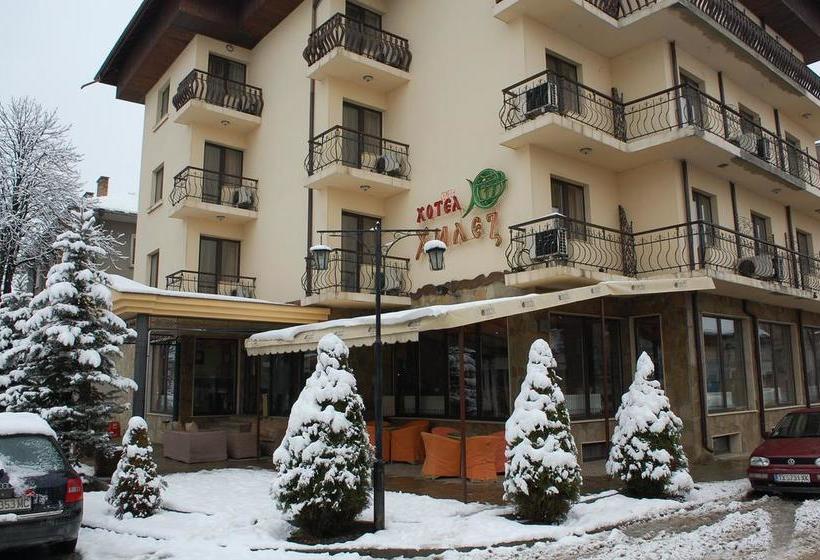 Hotel Hilez