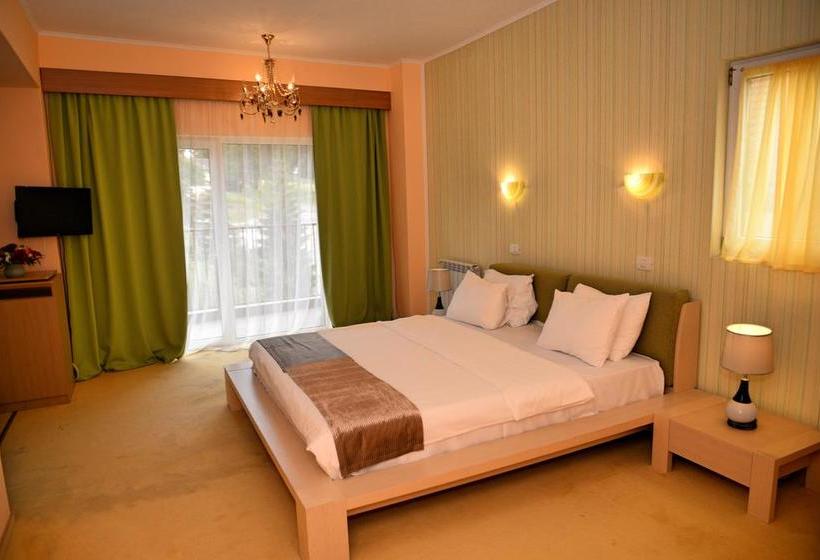 Atrium Hotel Mountain View Predeal