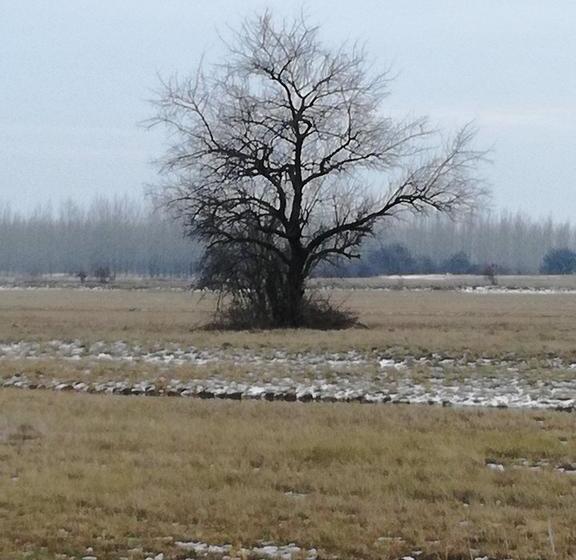 Hotel Xgames Szálloda 19