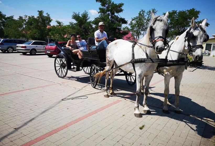 Hotel Xgames Szálloda 3
