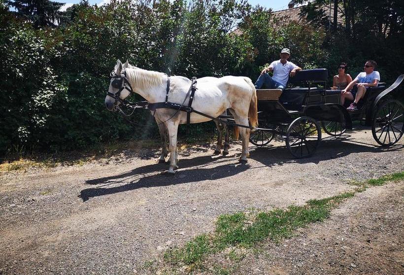 Hotel Xgames Szálloda 4