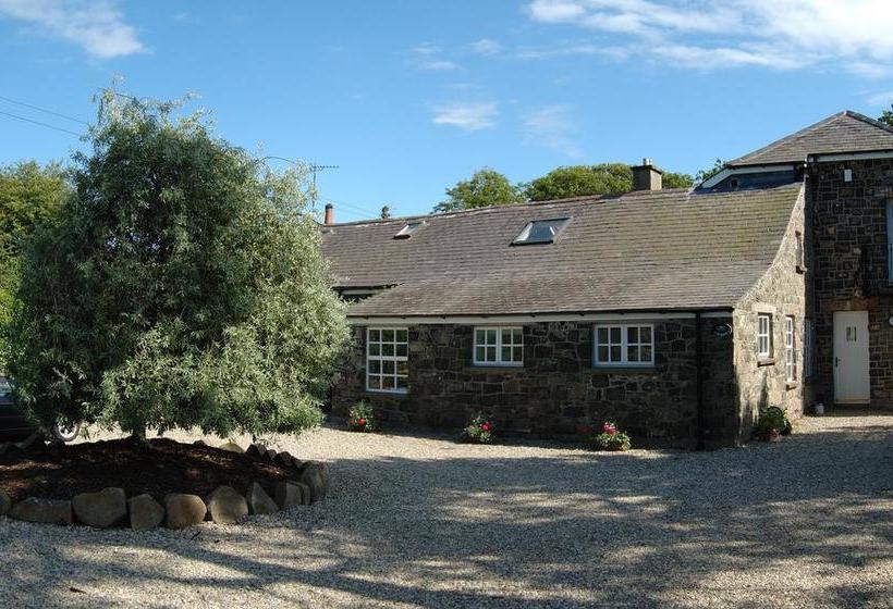 Shola Coach House B&b