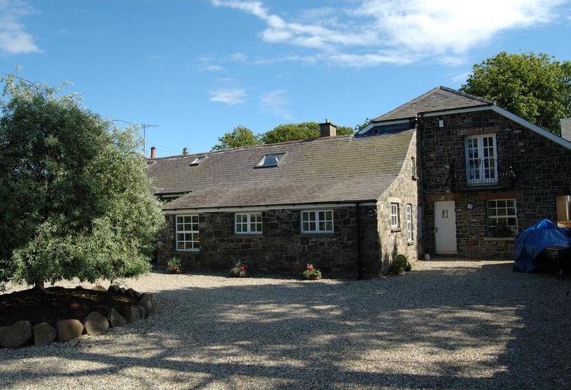 Shola Coach House B&b 1