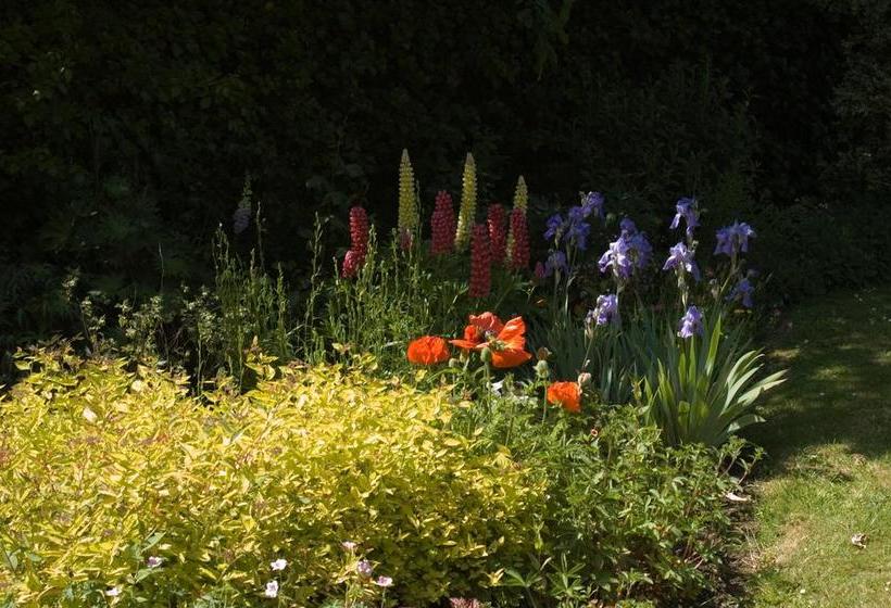 Shola Coach House B&b 10