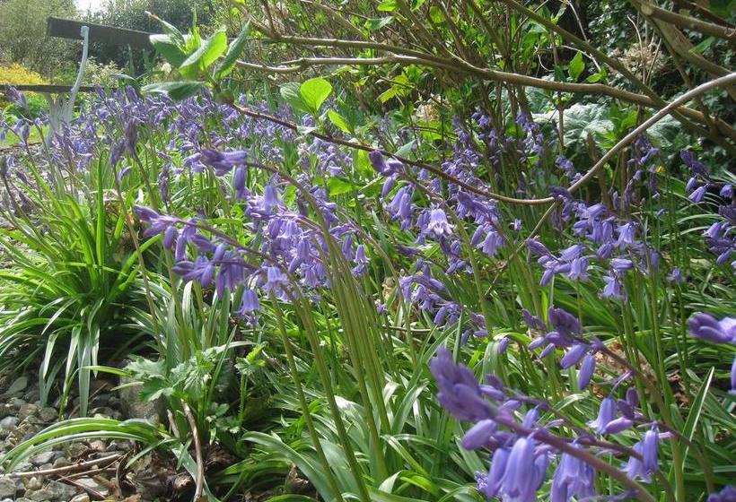 Shola Coach House B&b 13