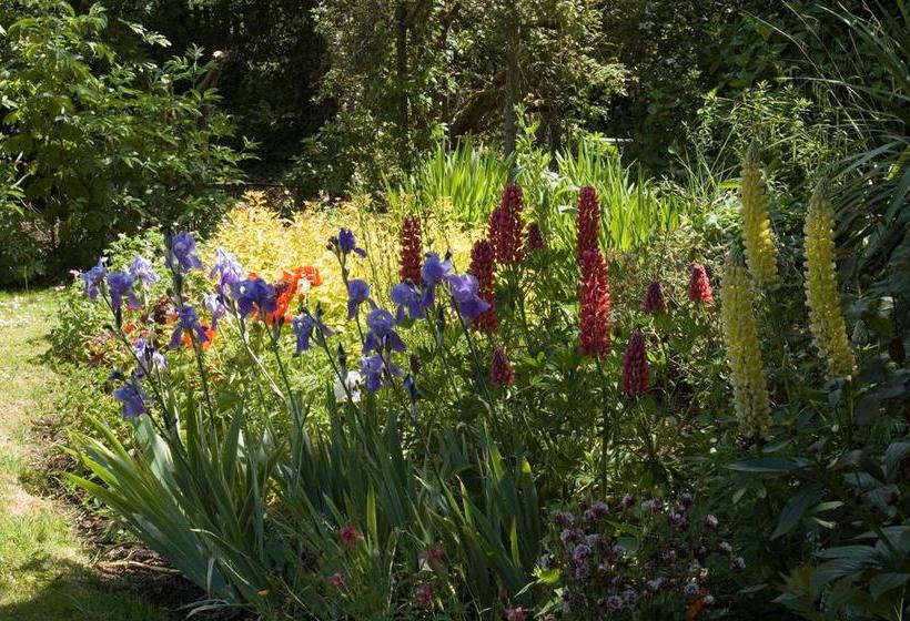 Shola Coach House B&b 8