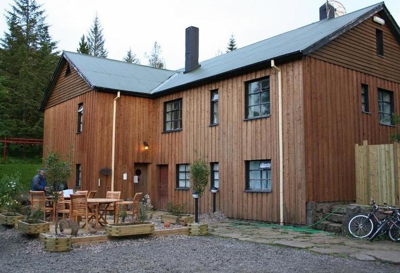 Bed and Breakfast Guesthouse Grai Hundurinn 11