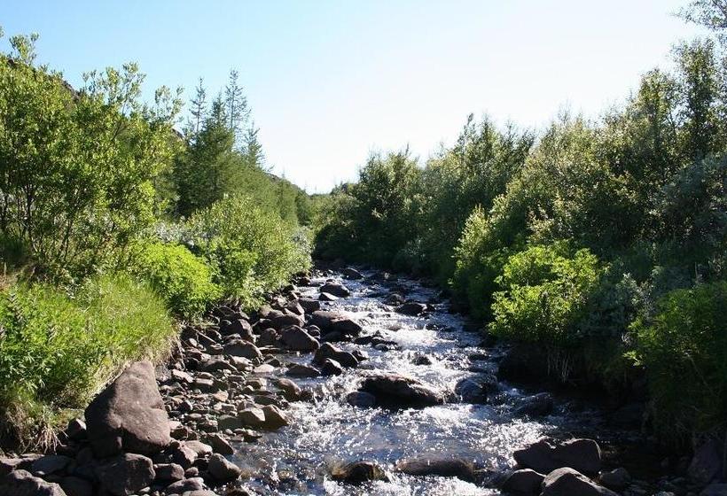 Bed and Breakfast Guesthouse Grai Hundurinn 14