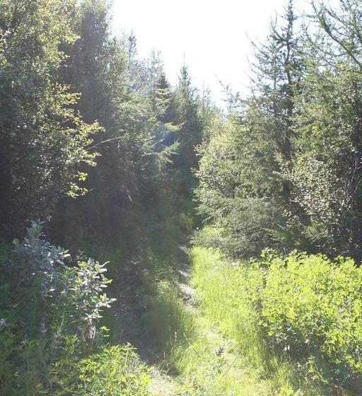 Bed and Breakfast Guesthouse Grai Hundurinn 15