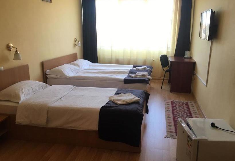 Bed and Breakfast Pensiune Hora 12