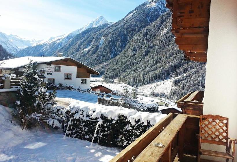 Bed and Breakfast Gästeheim Ribis 18