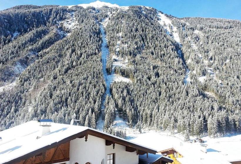 Bed and Breakfast Gästeheim Ribis 19