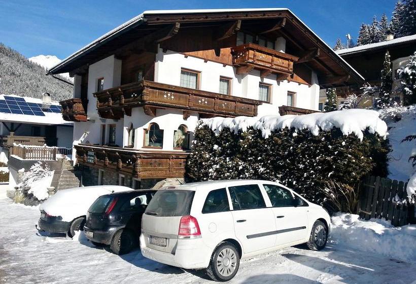 Bed and Breakfast Gästeheim Ribis 3