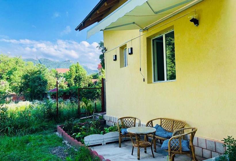 Bed and Breakfast Cazare De Mijloc 1