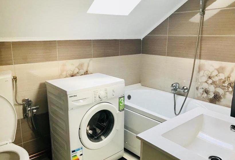 Bed and Breakfast Cazare De Mijloc 5