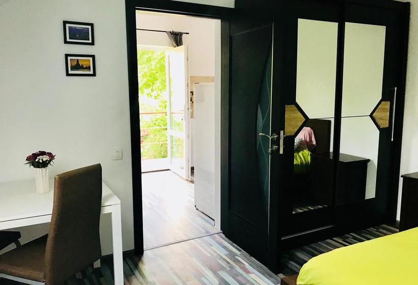 Bed and Breakfast Cazare De Mijloc 7