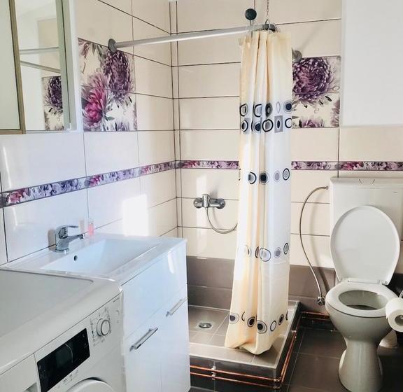 Bed and Breakfast Cazare De Mijloc 8