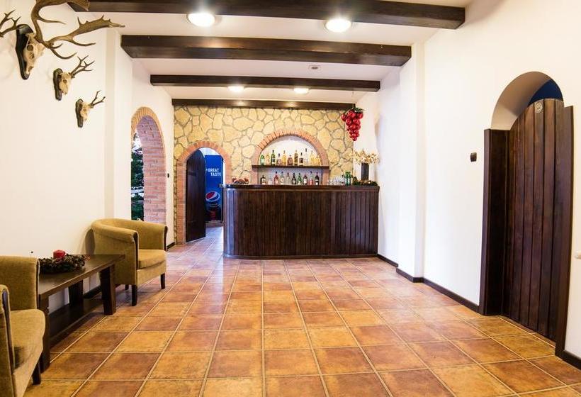 Hotel Bran Chalet 20