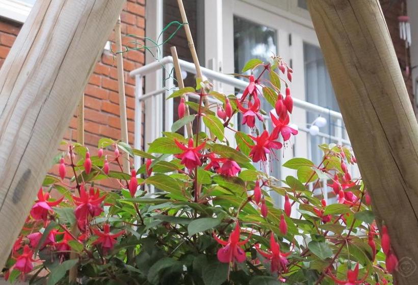 B&b West City Amsterdam 16